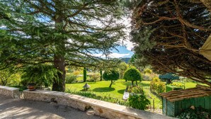 Uma trilha de pedra leva a um jardim com várias árvores e uma estrutura verde.