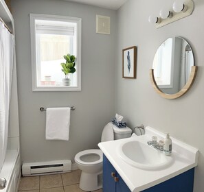 Secadora de cabello, toallas, jabón, papel de baño 
