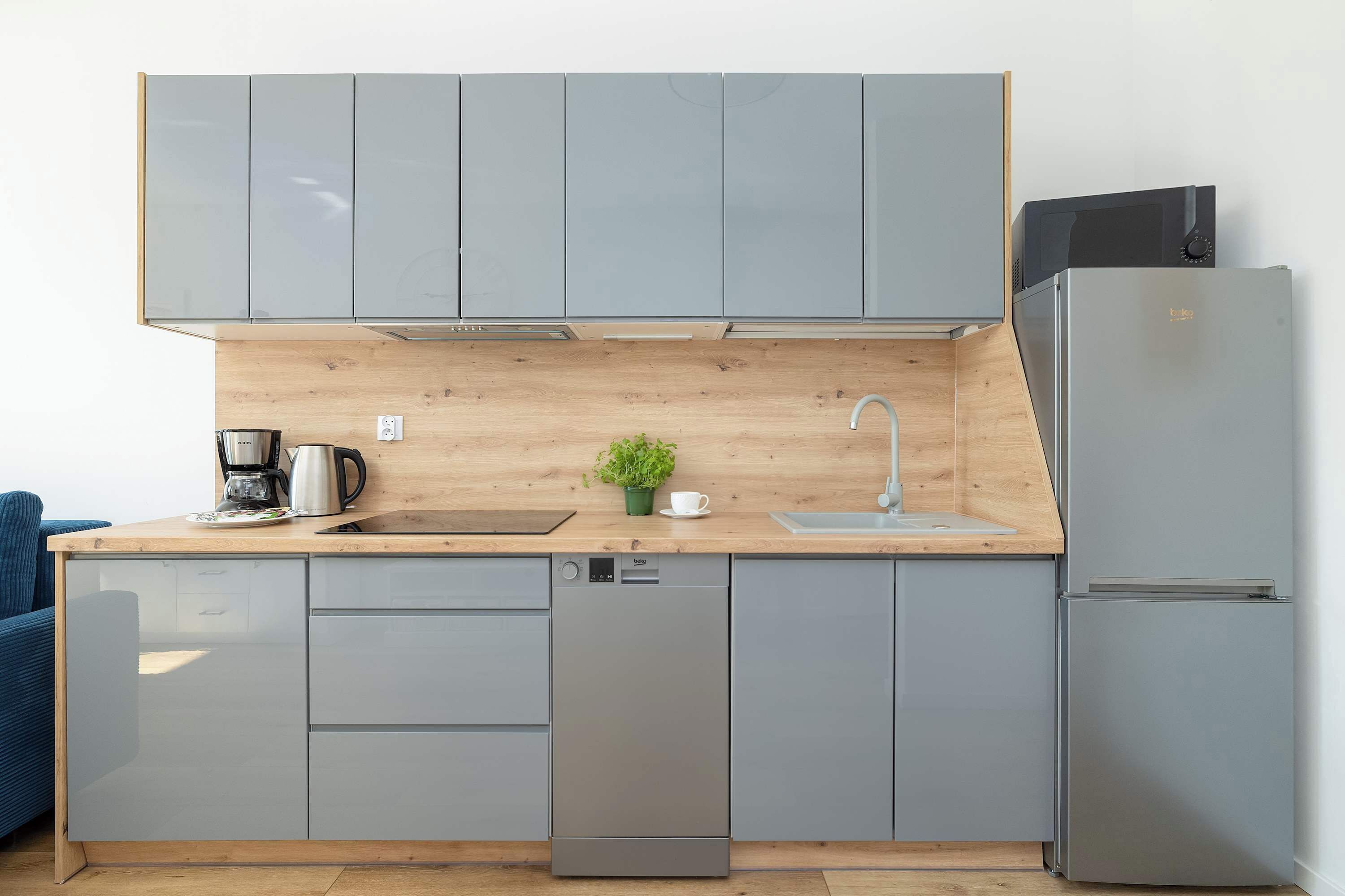 Fridge, microwave, dishwasher, coffee/tea maker