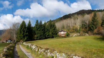 Een landelijk landschap met een huis, een pad en een beboste heuvel.