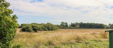 A rural landscape with a field, trees, and a distant building.
