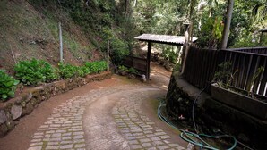 Immagine non classificata, 2 di 42, pulsante