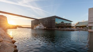 Ein modernes Gebäude mit Glasfassade, einem Uferbereich und einer Brücke im Hintergrund.