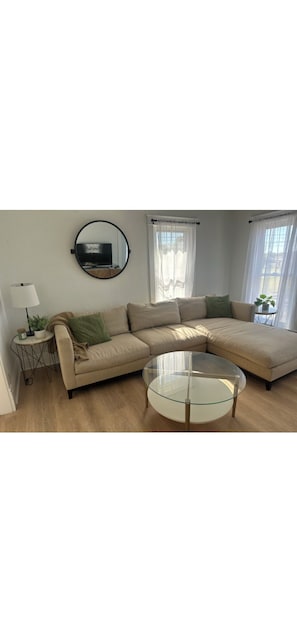 Living area - 4 bedroom beautiful modern apartment near Data center fully furnished  (Michigan City)
