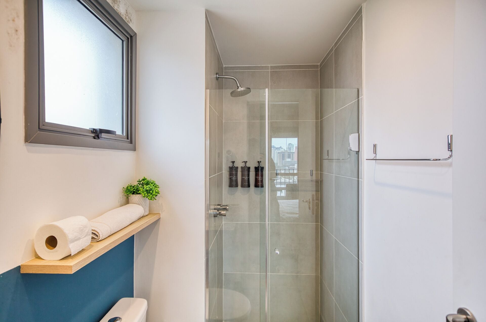 A modern bathroom with a glass shower enclosure, a wooden shelf with a toilet paper roll, and a small potted plant.