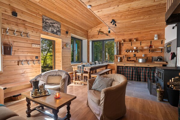 TV, fireplace, DVD player