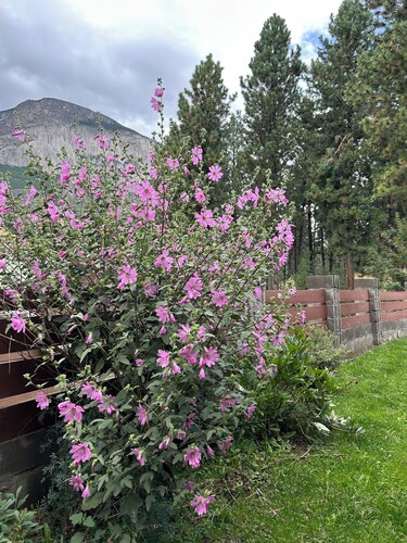Patagonia KóOch House