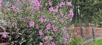 Patagonia KóOch House