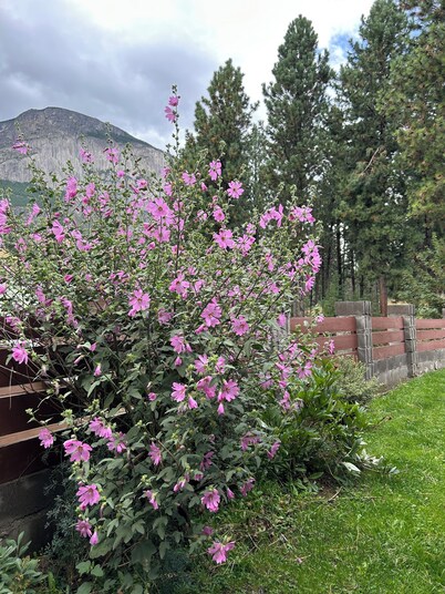 Patagonia KóOch House
