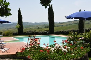 Alberca