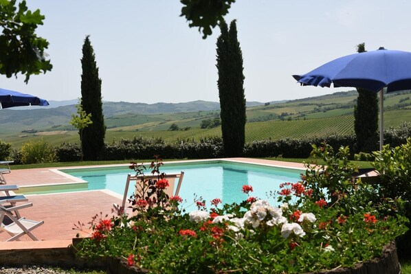 A swimming pool with lounge chairs and umbrellas, surrounded by greenery and a view of rolling hills.