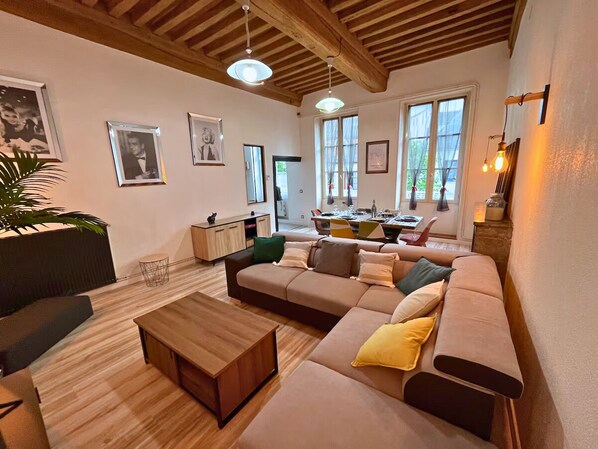 TV, fireplace, books