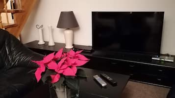 TV, fireplace, DVD player, stereo