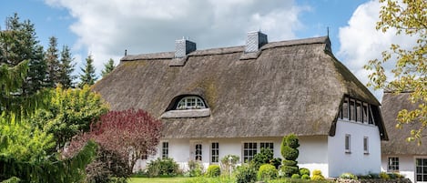 Eksteriør