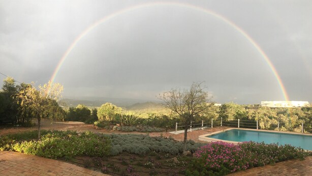 A garden with a pool, trees, and a rainbow.