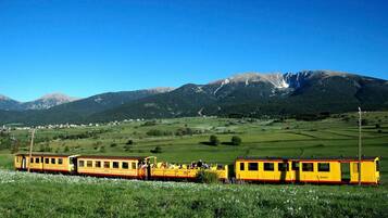 Een gele trein met passagiers rijdt door een groen landschap met bergen op de achtergrond.