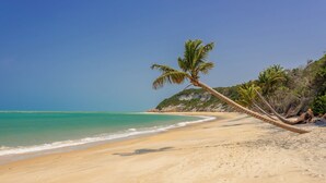 A beach with a leaning palm tree, clear blue sky, and calm sea. - Casinha Praia do Espelho (Porto Seguro)