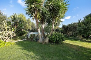A garden with palm trees, a stone wall, and a pathway. - Apartment 'Tranquility Villa Fonte Coberta' with Shared Pool, Wi-Fi and Air Conditioning (Lagos)