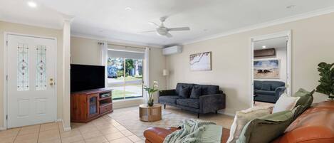 تلفزيون، مشغل دي في دي