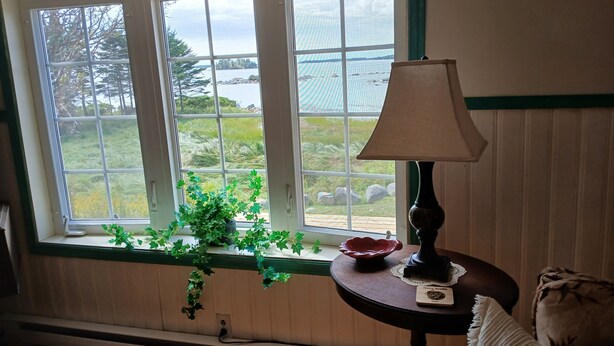 Una habitación con ventana que da a un jardín, una mesa con lámpara y una pequeña planta en el alféizar.