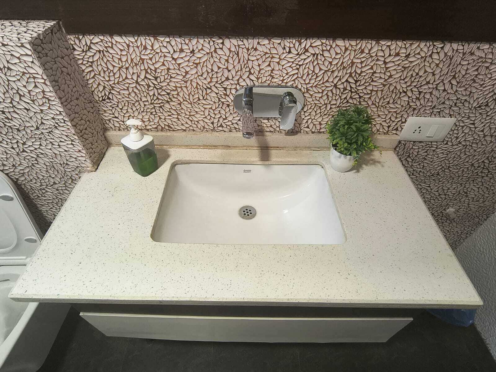 A bathroom with a white sink, a faucet, a soap dispenser, and a potted plant.