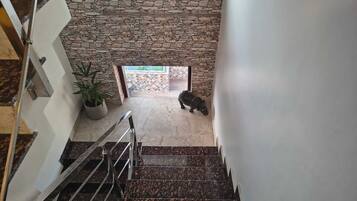 Handrails in stairways