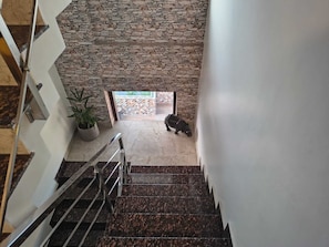 Handrails in stairways