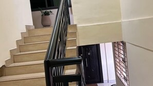 Uma escada com guarda-corrimão de metal preto, degraus bege e um vaso de planta no topo.