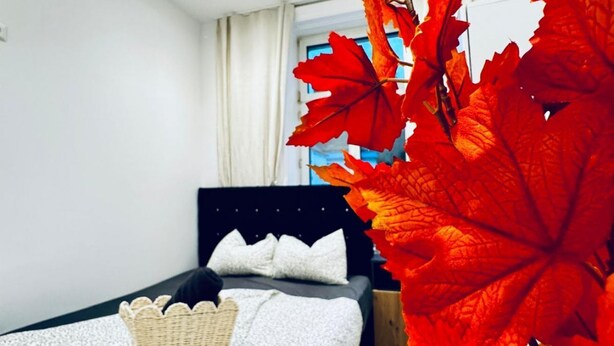 Une chambre à coucher avec un lit, un panier et une grande feuille rouge.