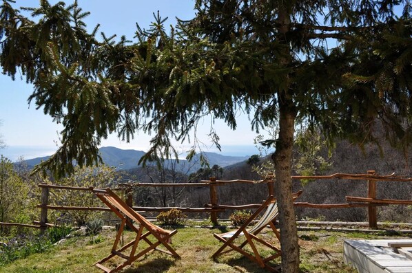 Parco della struttura