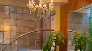 A modern interior with a staircase, a chandelier, and potted plants.