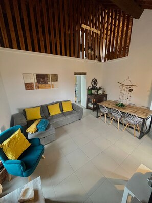 Smart TV, fireplace, DVD player, books