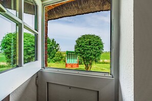A window with a view of a green field, a tree, and a green and white striped chair.