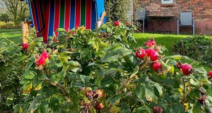 Holiday Apartment Norderoog, 52 sqm, 1 Bedroom, Max. 4 Persons