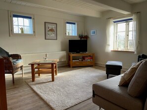 Fernseher, Stereoanlage