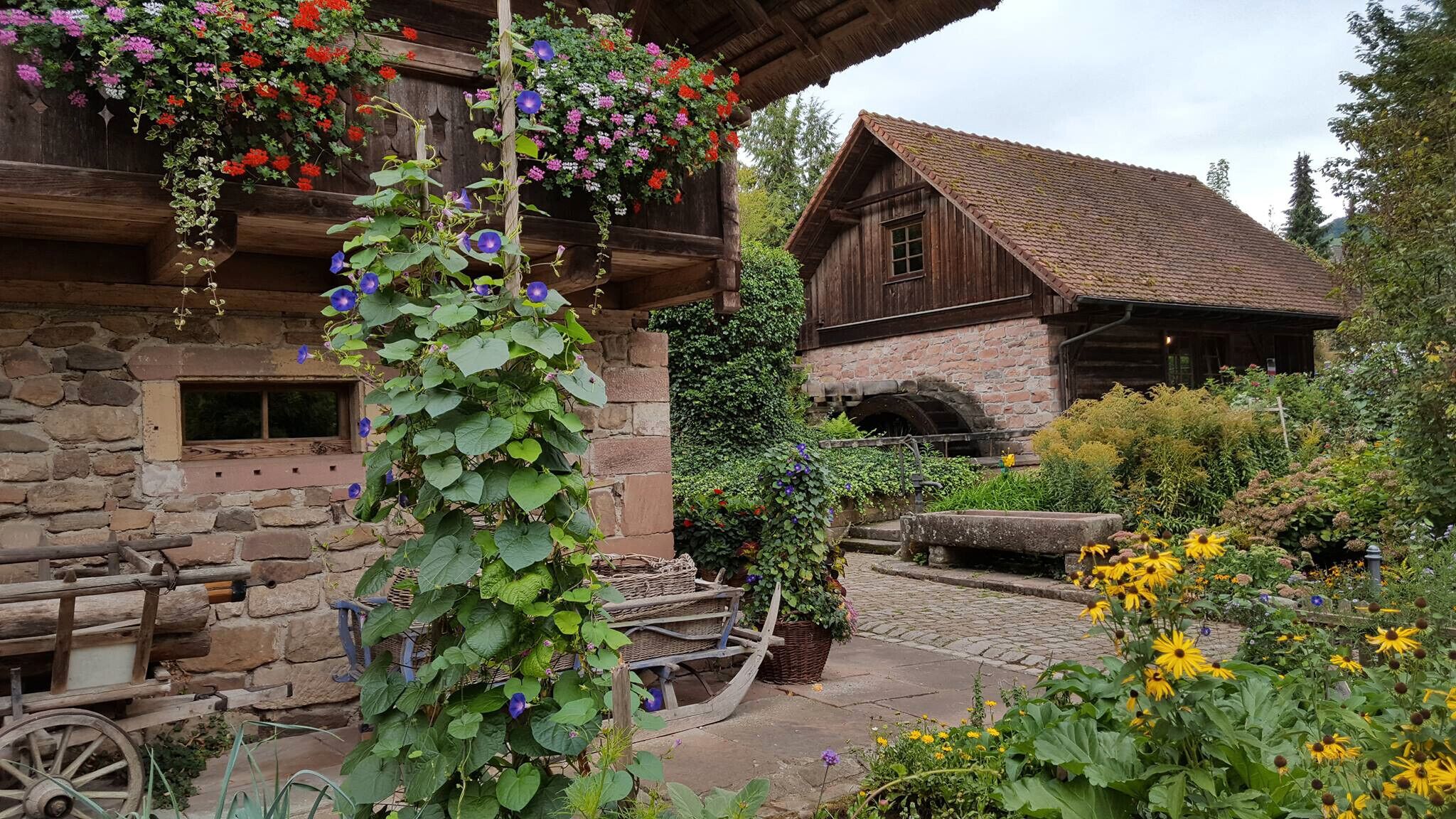 Áreas de la propiedad