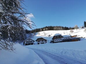 Exterior - Stinneshof – a peaceful retreat to escape everyday life for a few days (Oberharmersbach)