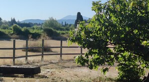 Terrain de lâhĂ©bergement
