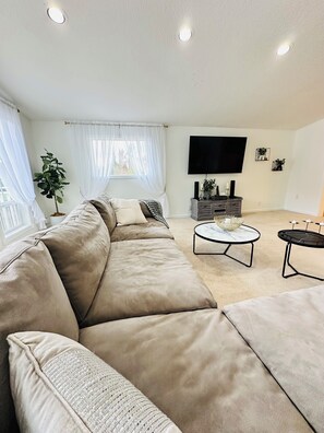 Smart TV, fireplace, books