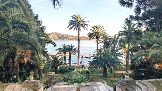 A park with palm trees, a view of the sea, and a stone staircase leading to a viewing platform.