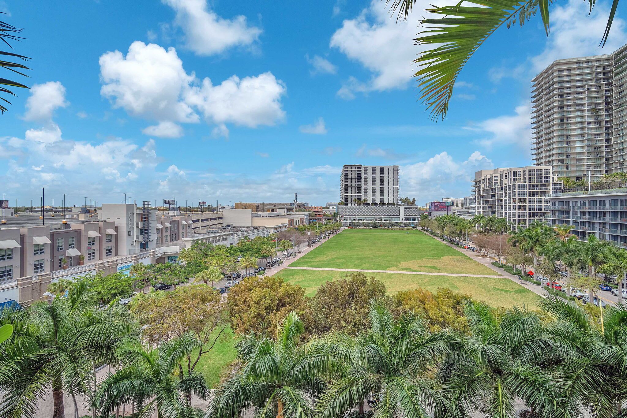 A cityscape with modern buildings, a large open grassy area, and palm trees.