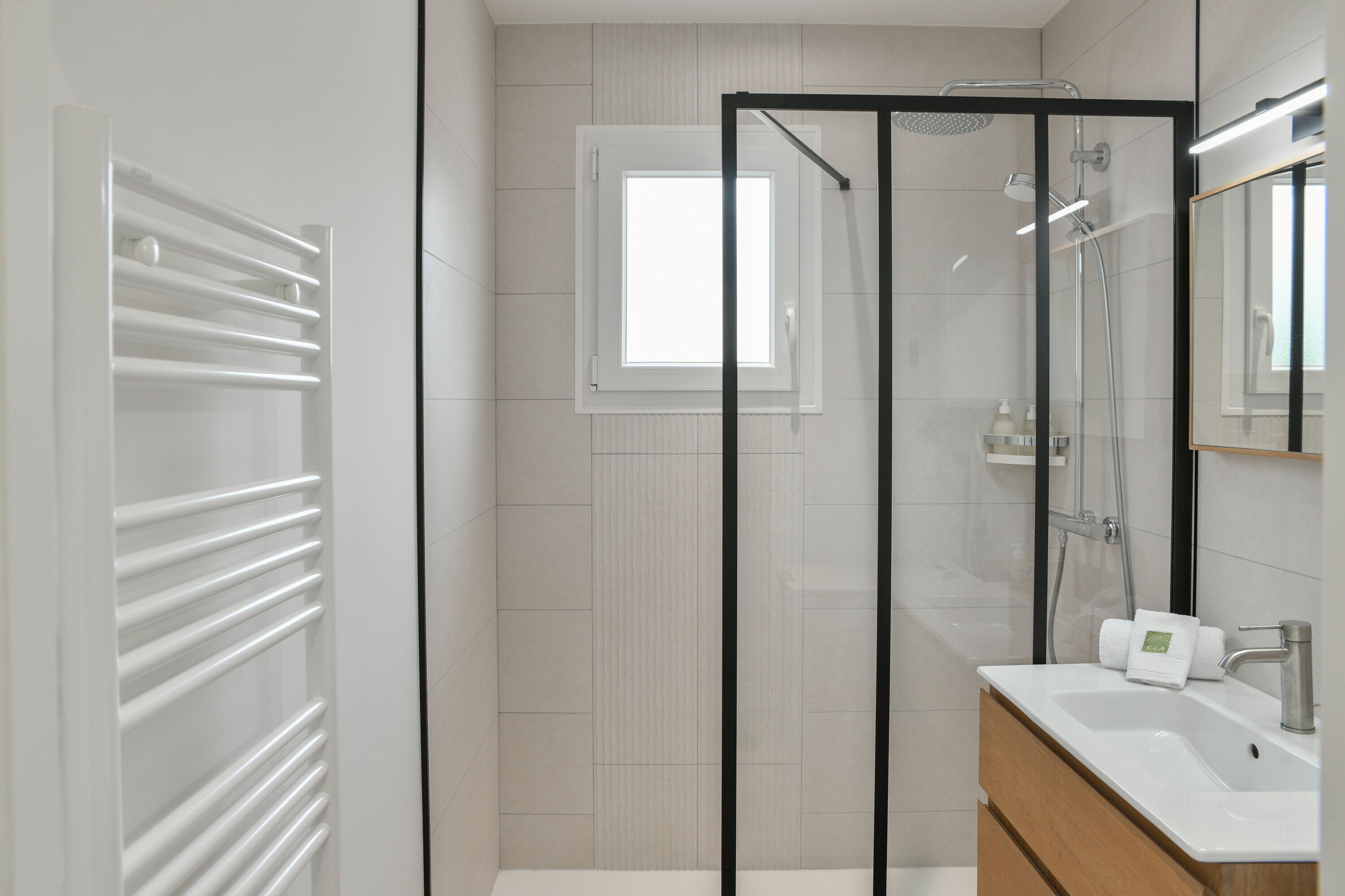 Shower, hair dryer, towels