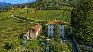 Ein Weinberg mit terrassenförmigen Feldern, ein Steinhaus und ein modernes Haus mit rotem Dach.