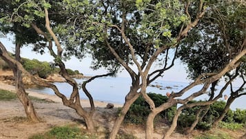 Una spiaggia nelle vicinanze