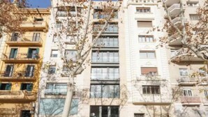 Un edificio de varios pisos con balcones, ventanas amplias y un árbol en primer plano.