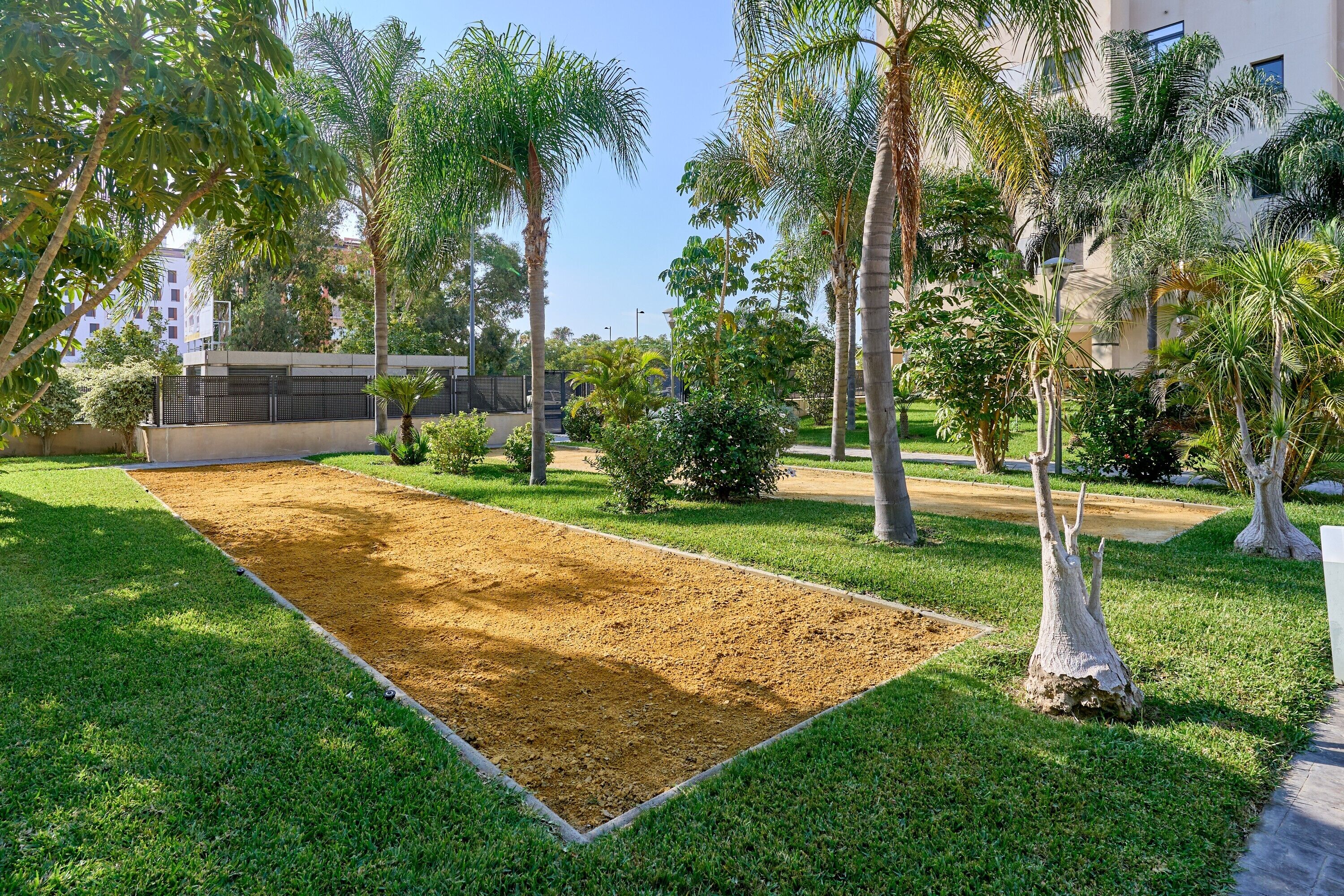 Un patio con una cancha de arena, rodeado de césped y palmeras.