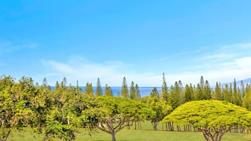 Condo (2 Bedrooms) | Front of property