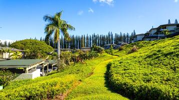 Condo (3 Bedrooms) | Exterior