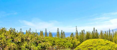 Condo (3 Bedrooms) | Front of property