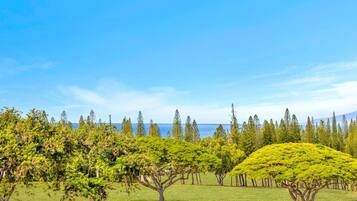 Apartment (3 Bedrooms) | Fassade der Unterkunft